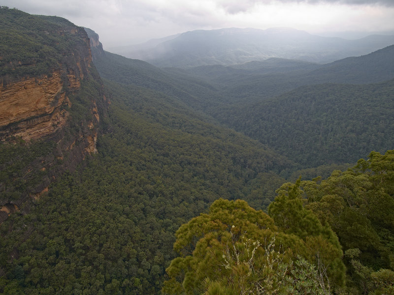 Blue Mountains